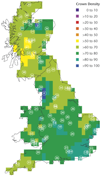 fcon_img_scots01.gif