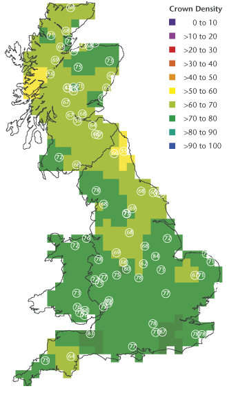 fcon_img_scots04.gif