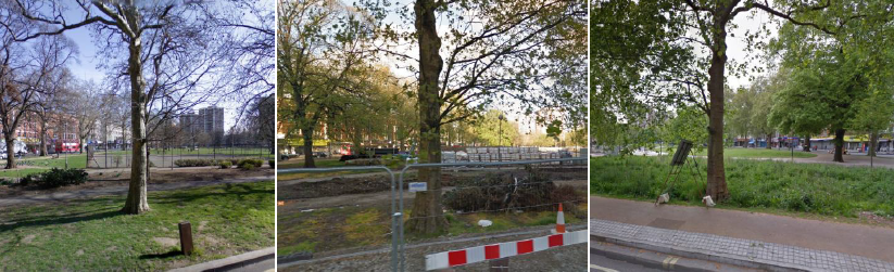 Picture of landscaping, earthworks in parks in Shepherd’s Bush Green, Hammersmith and Fulham in London