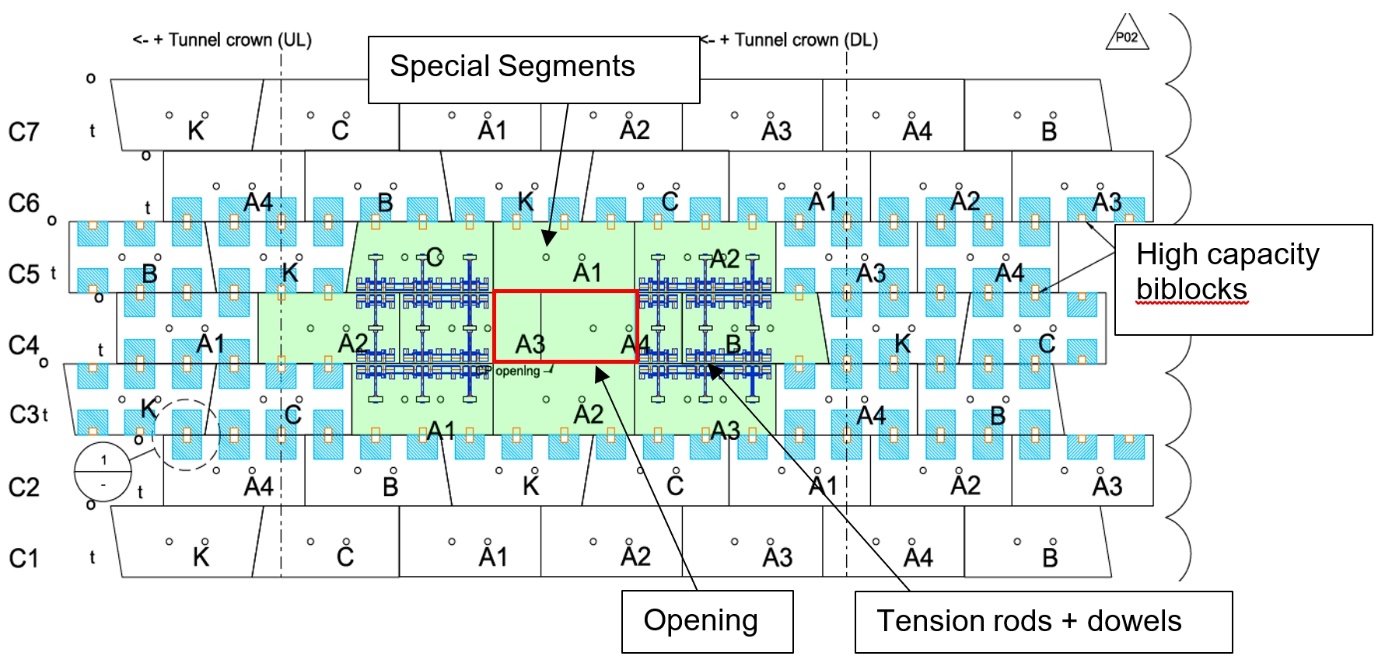 Diagram of complete macrostructure of special segments around openings