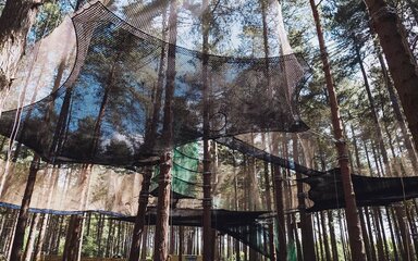 Go Ape Nets strung up high in the trees