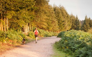 A person running with a dog along a forest running trail 