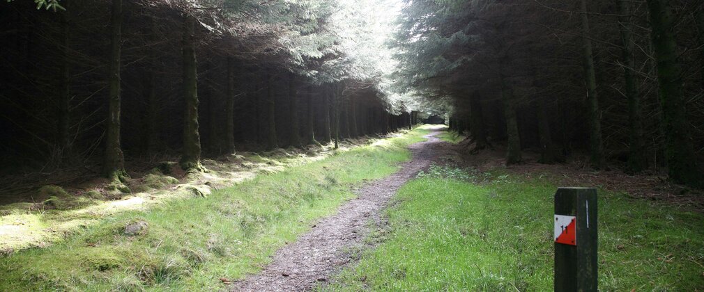 Orienteering route at gisburn