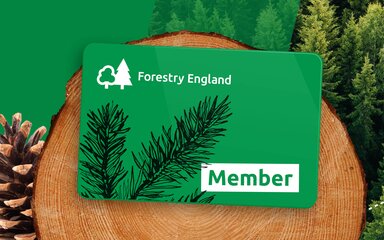 Forestry England Gift membership