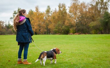 Woman and dog looking out over field