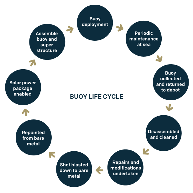 Buoy life cycle.png