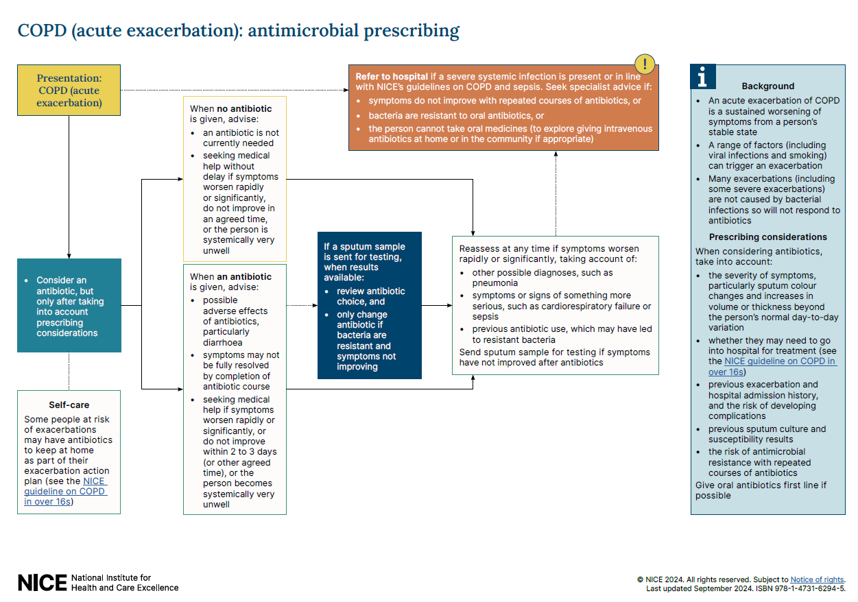 View 2-page visual summary