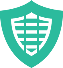 Protect your personal data icon