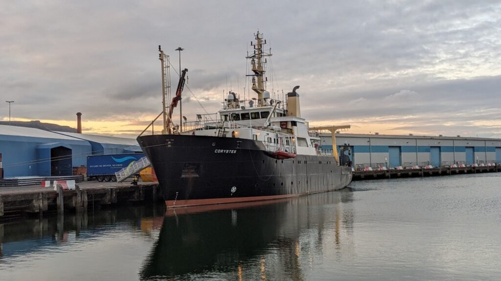 the ship in a harbour