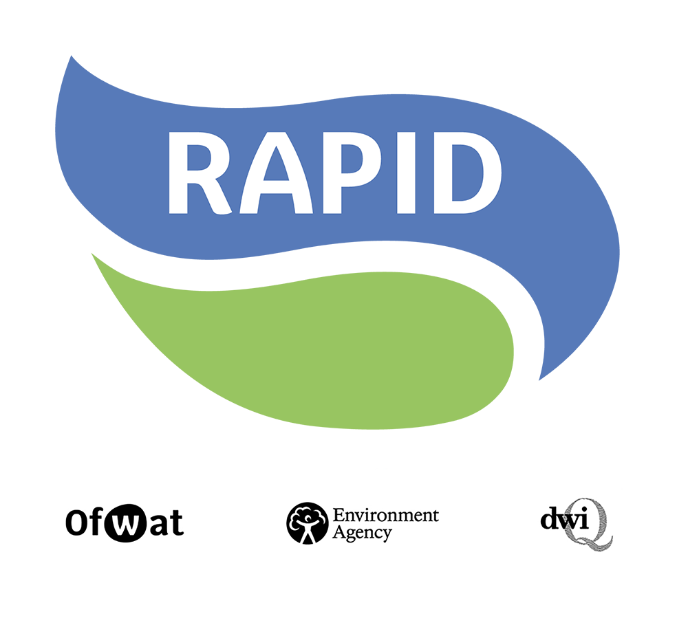 RAPID logo RAPID logo 2022
