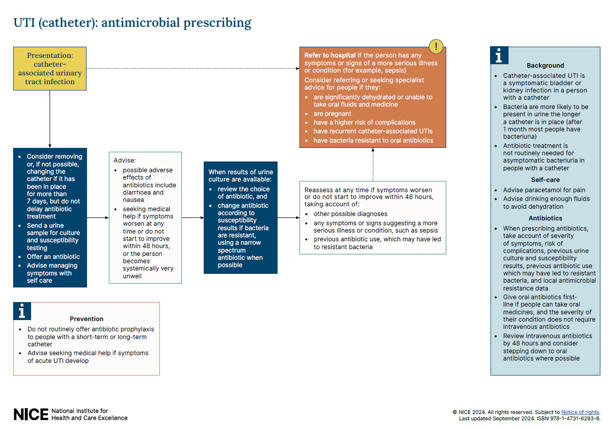 View 3-page visual summary