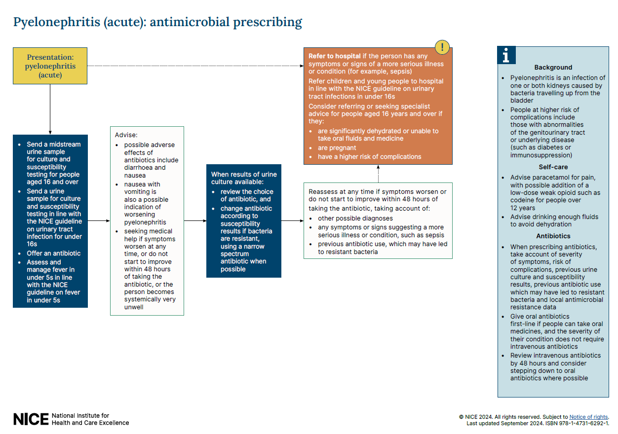 View 3-page visual summary