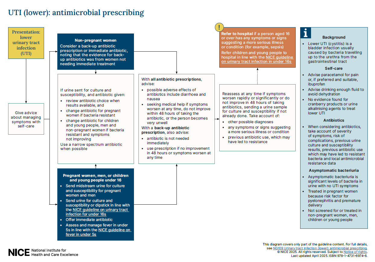 View 3-page visual summary