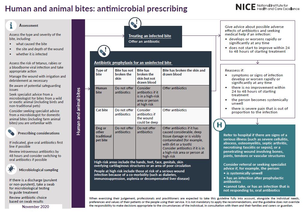 View 3-page visual summary