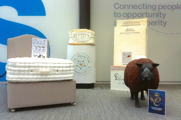 Display of bedding, including an artificial sheep.