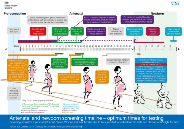 Timeline illustration detailing all the antenatal and newborn screening tests offered to pregnant women and newborn babies. In chronological order they are: diabetic eye screening for pregnant women with diabetes, antenatal sickle cell and thalassaemia screening, infectious diseases in pregnancy screening, fetal anomaly screening, newborn and infant physical examination, newborn blood spot screening and newborn hearing screening,