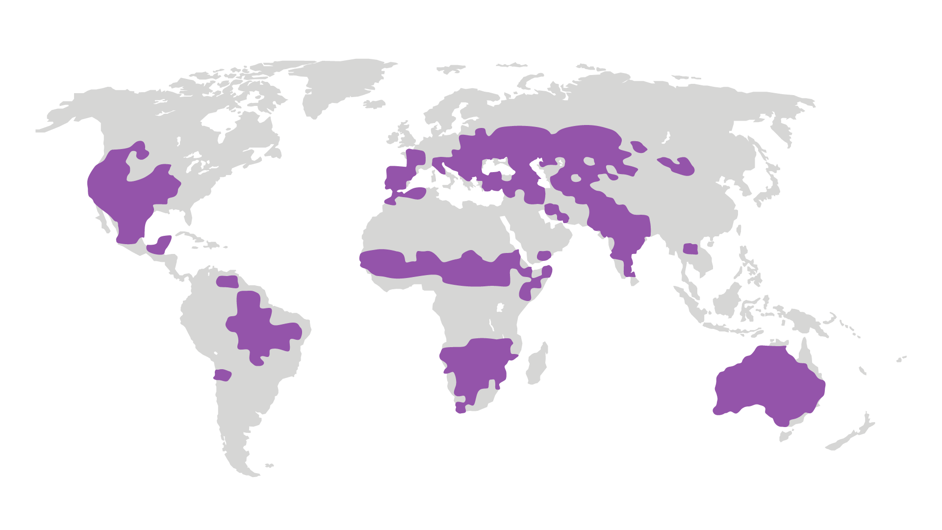 Global map showing the regions that are projected to be most affected by wildfire weather risk at 4°C global warming. The regions are eastern and central North America, western and central South America, the Sahel, southern Africa, western and southern Europe, central Asia, India and Australia.