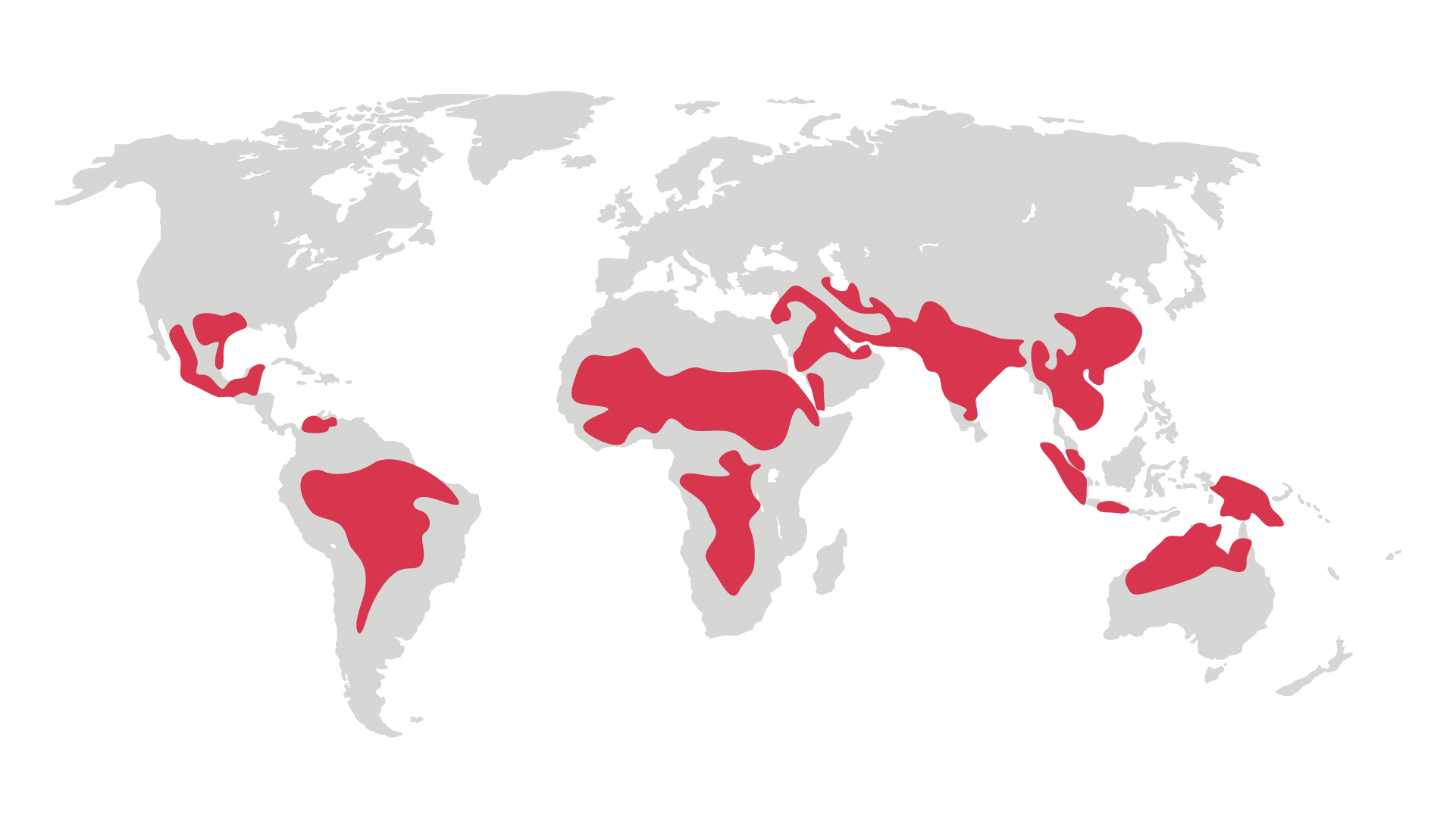 Global map showing the regions that are projected to be most affected by extreme heat stress risk at 4°C global warming. The regions are: Central America, central South America, the Sahel, southern Africa, southern Asia, southeast Asia, Indonesia, and northern Australia.