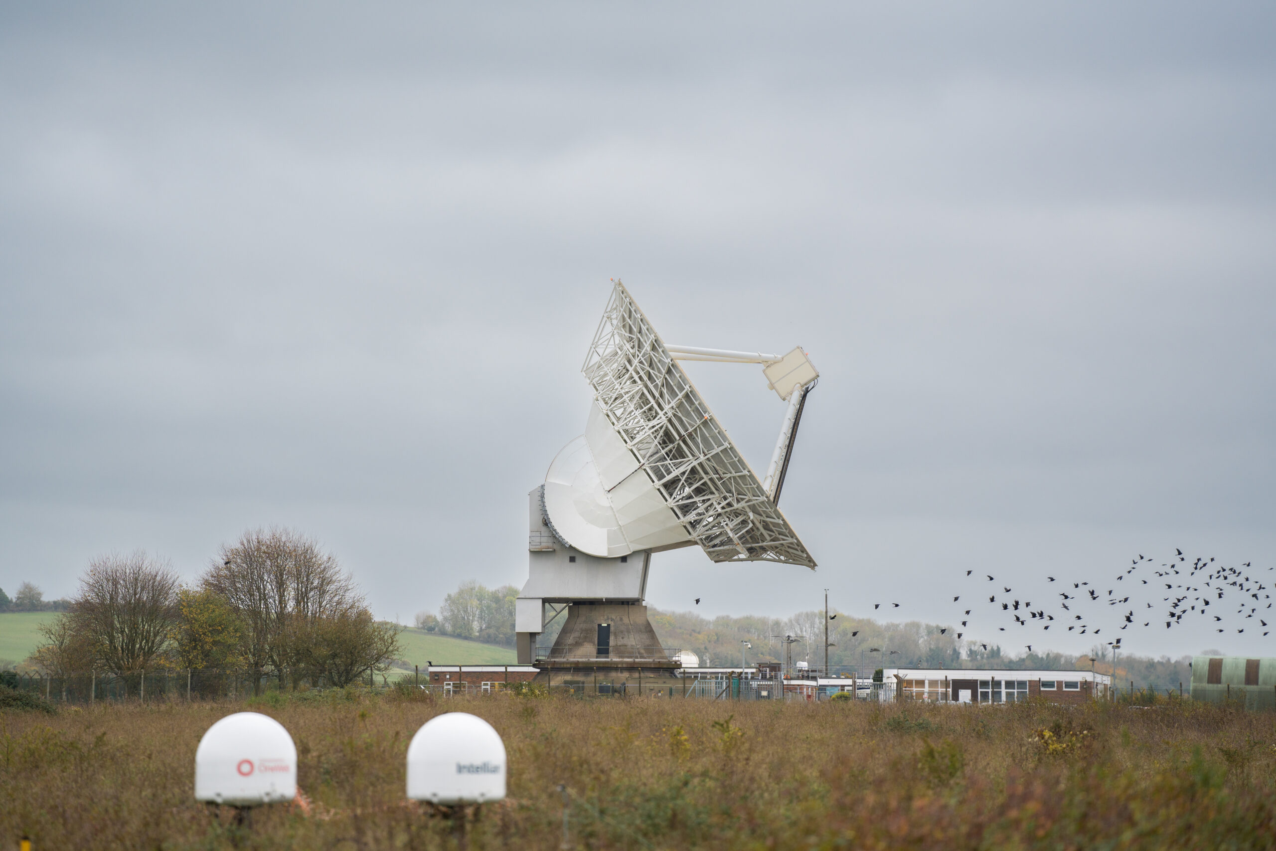 The 25m dish at Chilbolton Observatory. Credit: NCAS