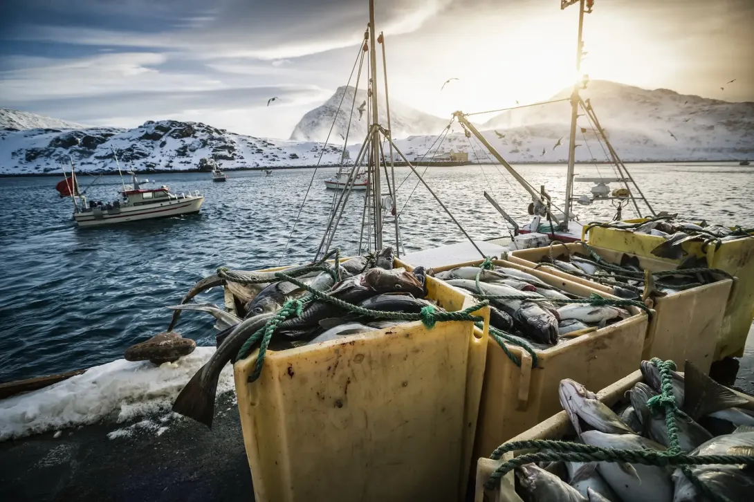 Societal Impacts and Adaptation to Arctic Change