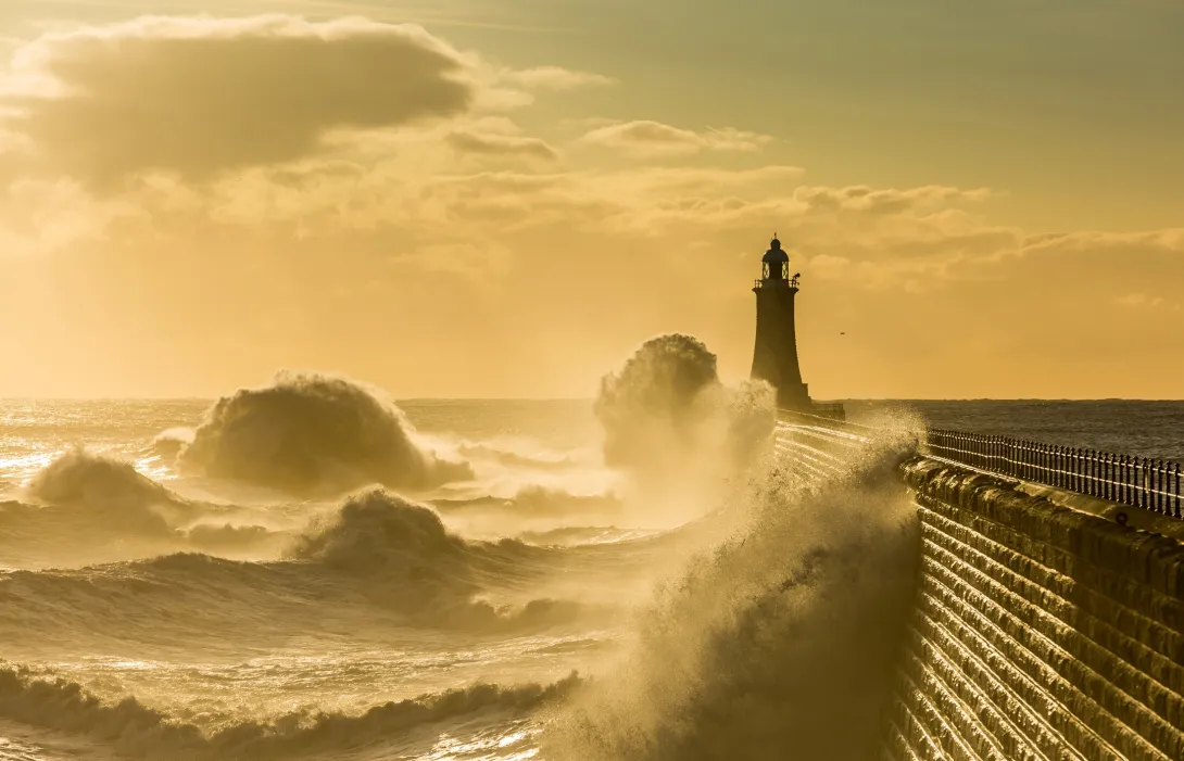Why is understanding waves so important for activity at sea?
