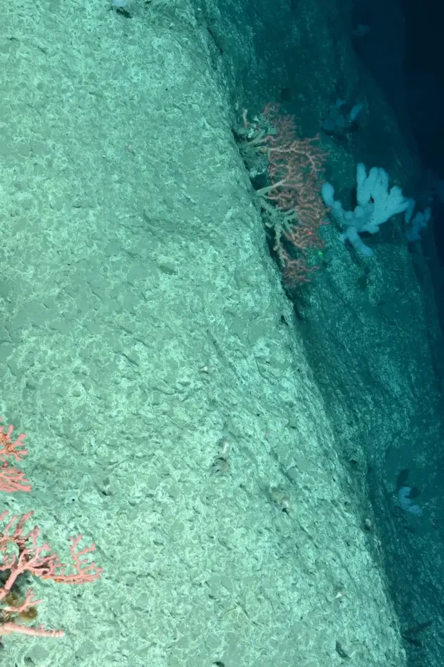 Critical Minerals