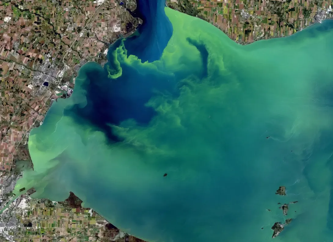 Lake Erie algal bloom event