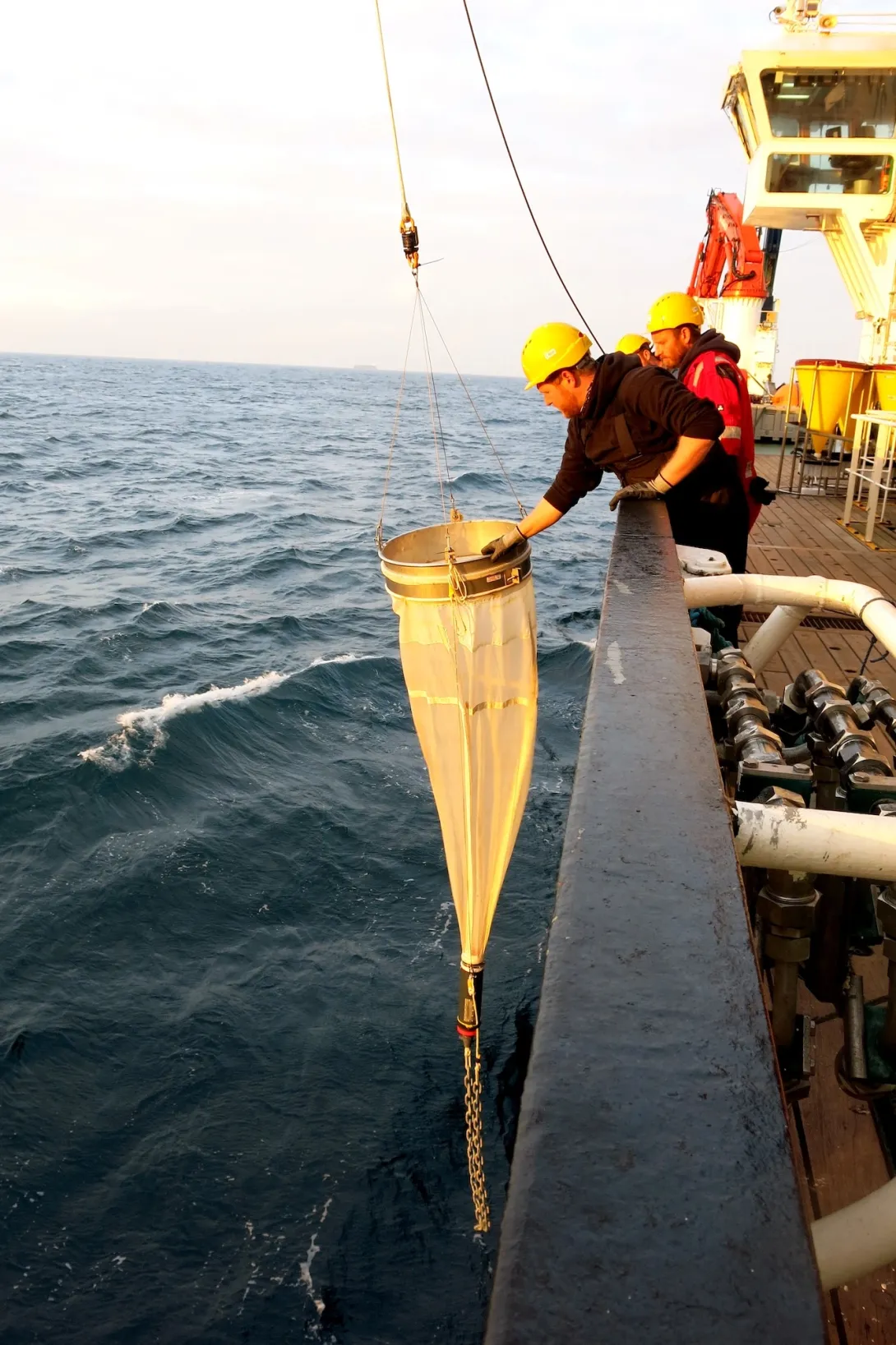 Modern use of a simple plankton net