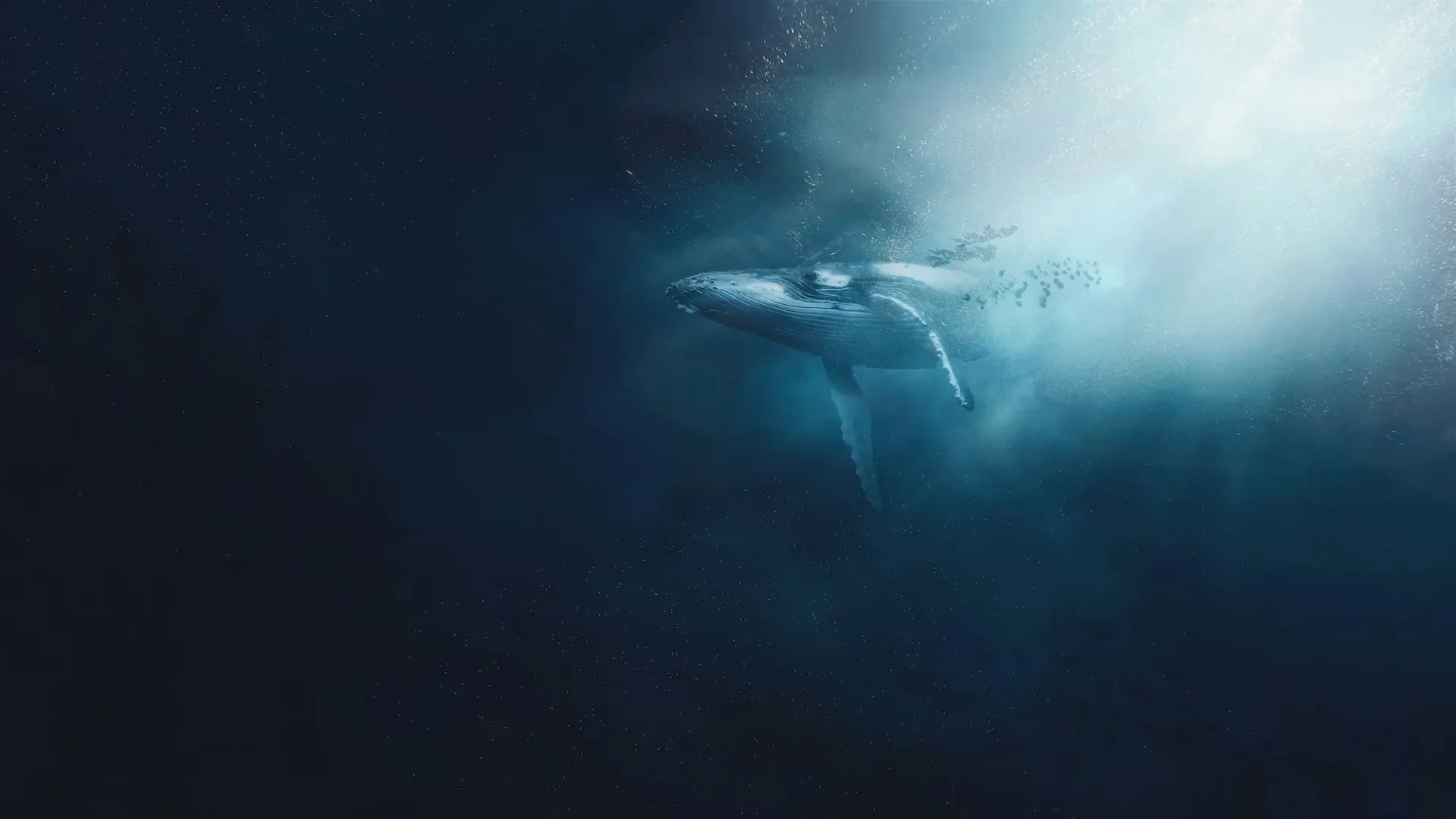 Ocean Noise