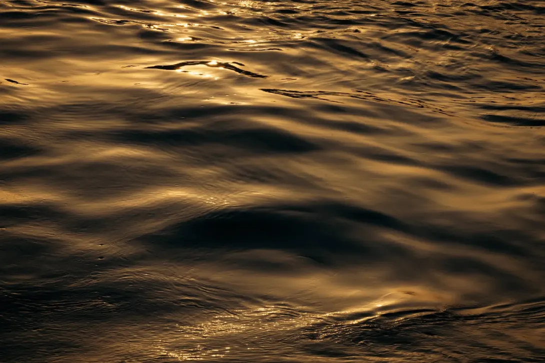Why is studying ocean noise important?