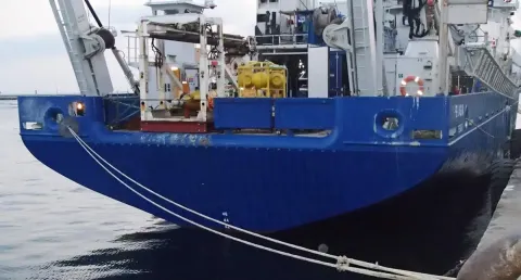 Submarine Channel Flow Dynamics – The Black Sea