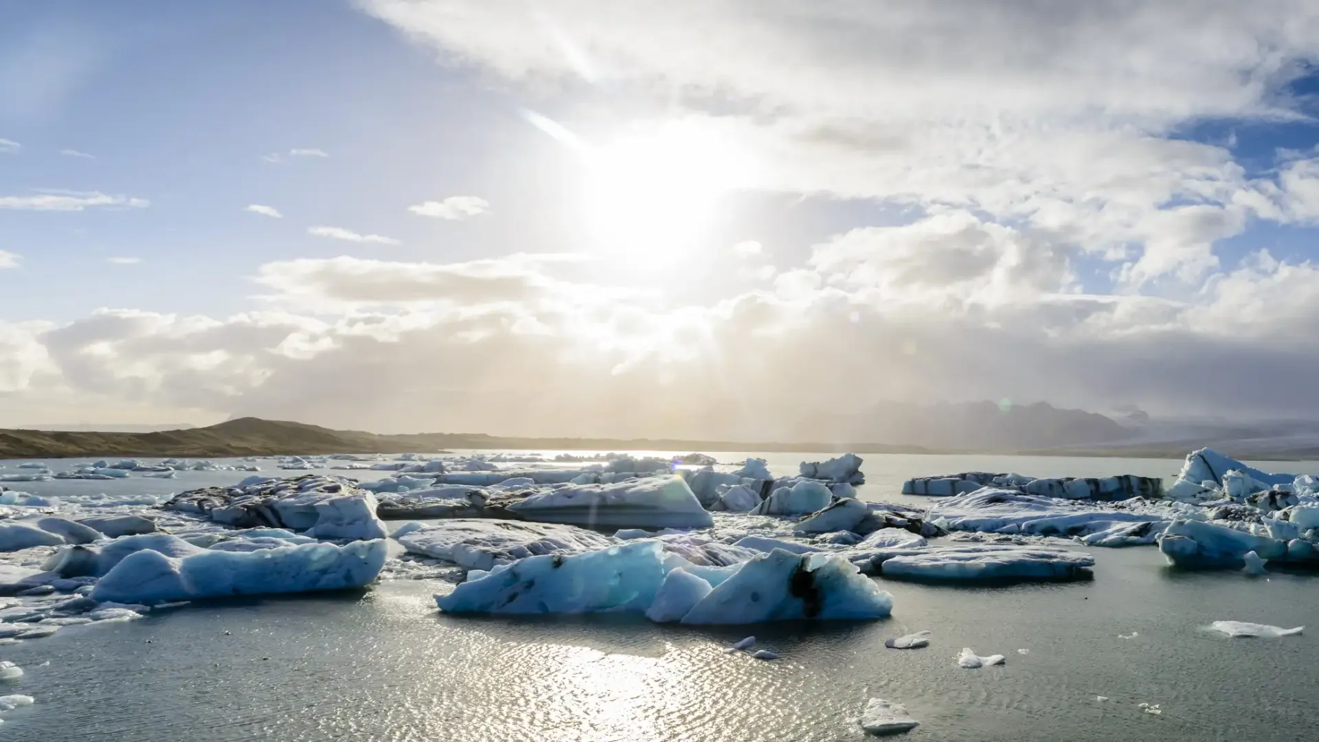Sea Ice Loss
