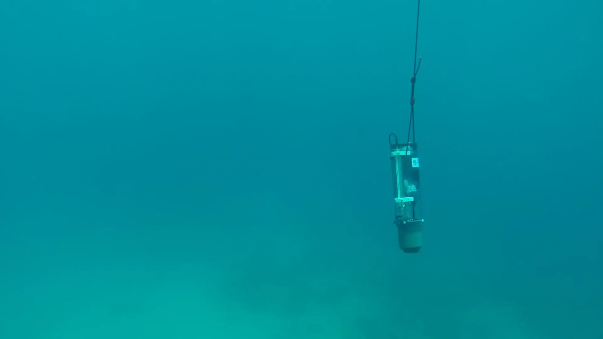 Nutrient Sensors
