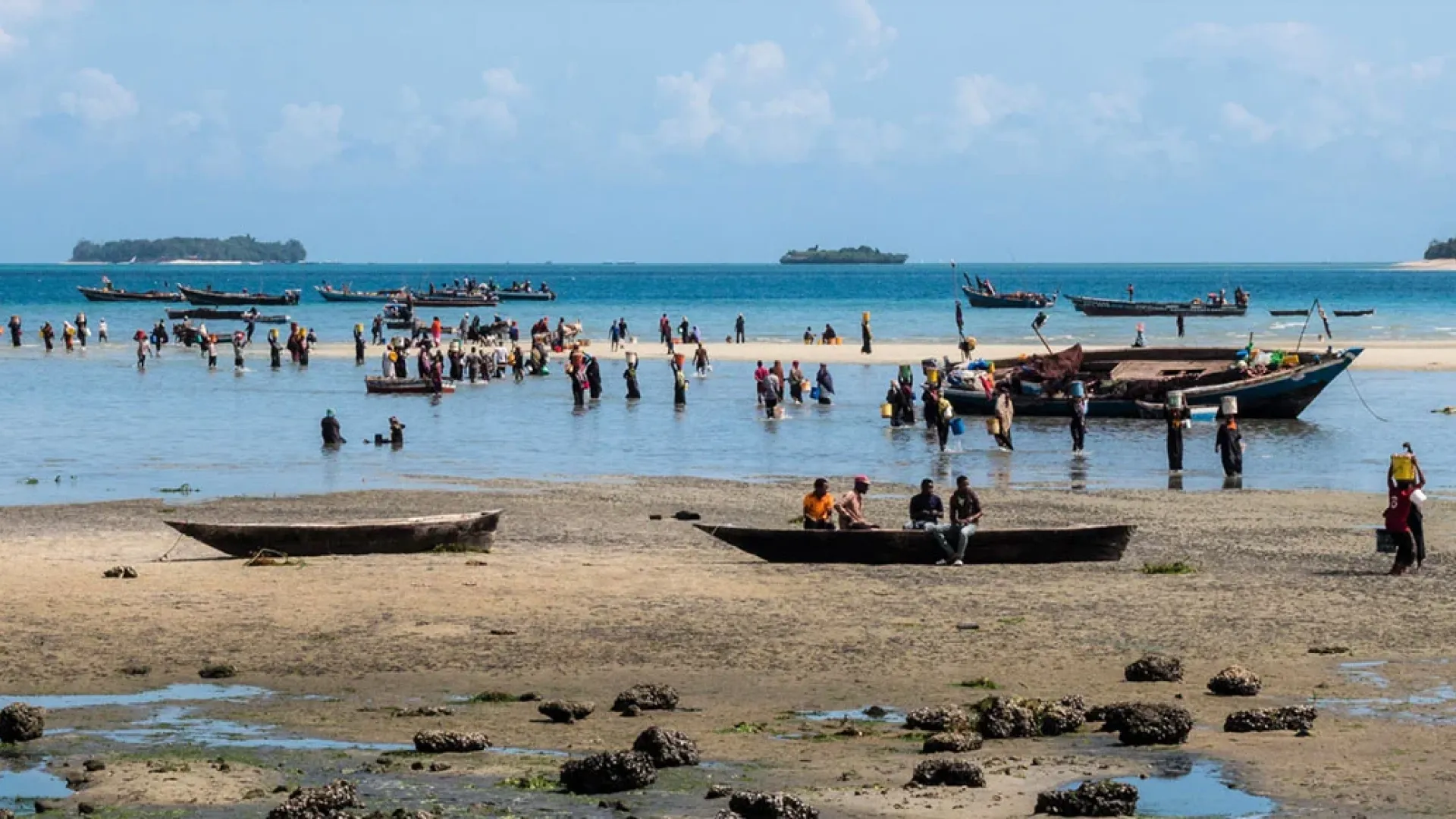 Ocean Science in Action