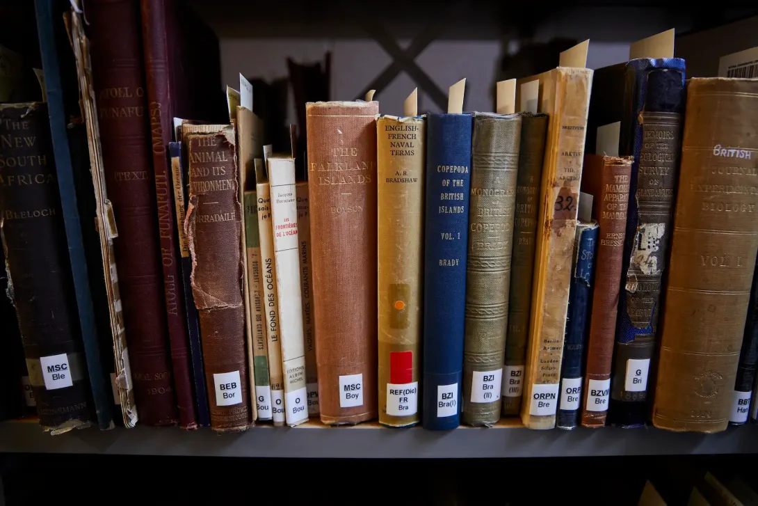 Old books from the library archives