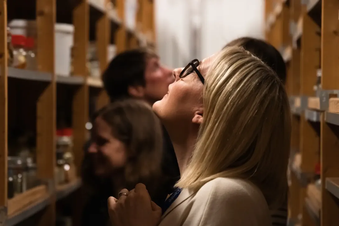 Visitor to the Discovery Collections