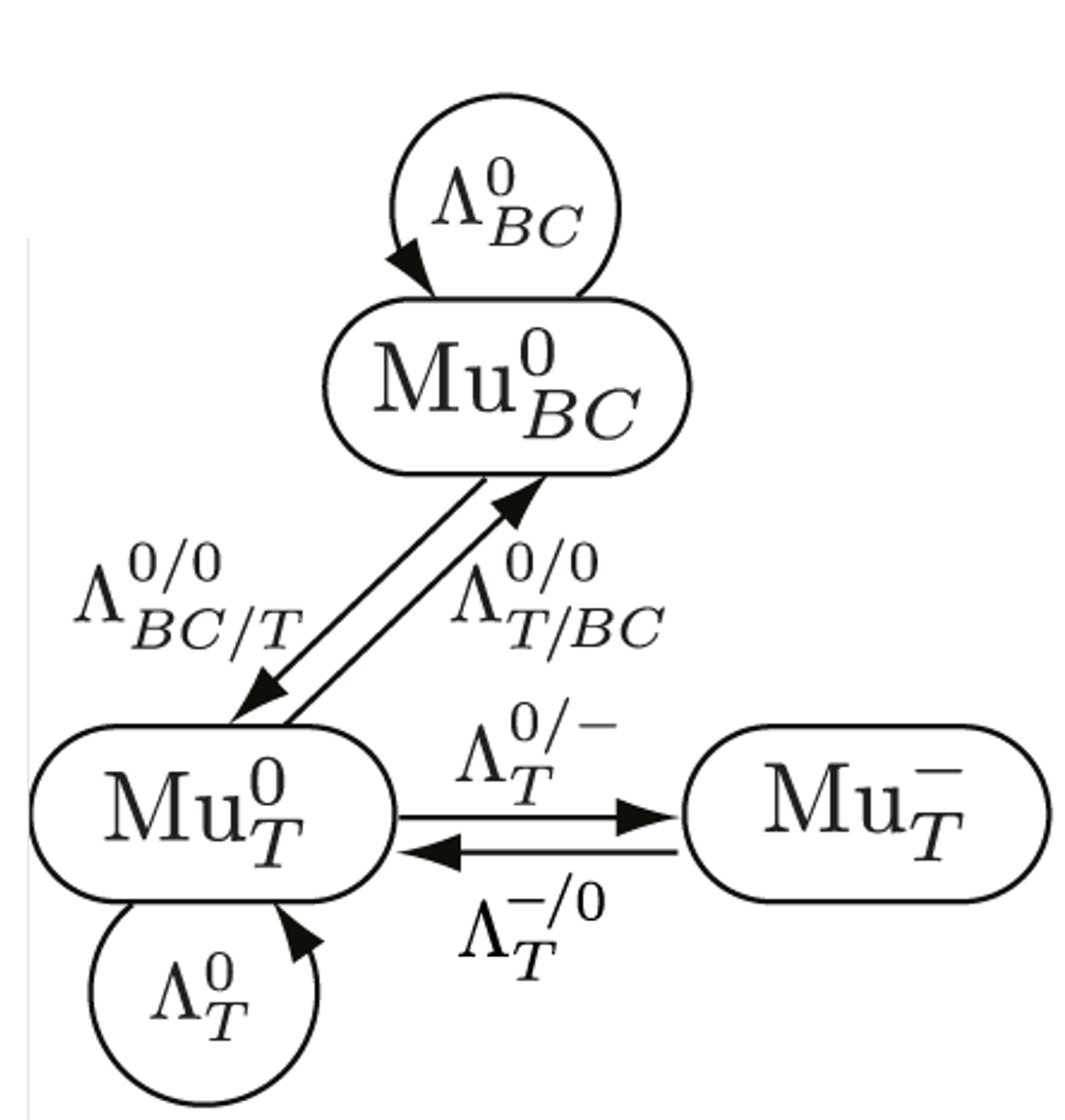 Model of Mu state exchange in 𝑛-GaAs. A superscript and subscript of Λ indicate the charge state and Mu site respectively, with a slash between before and after a transition.