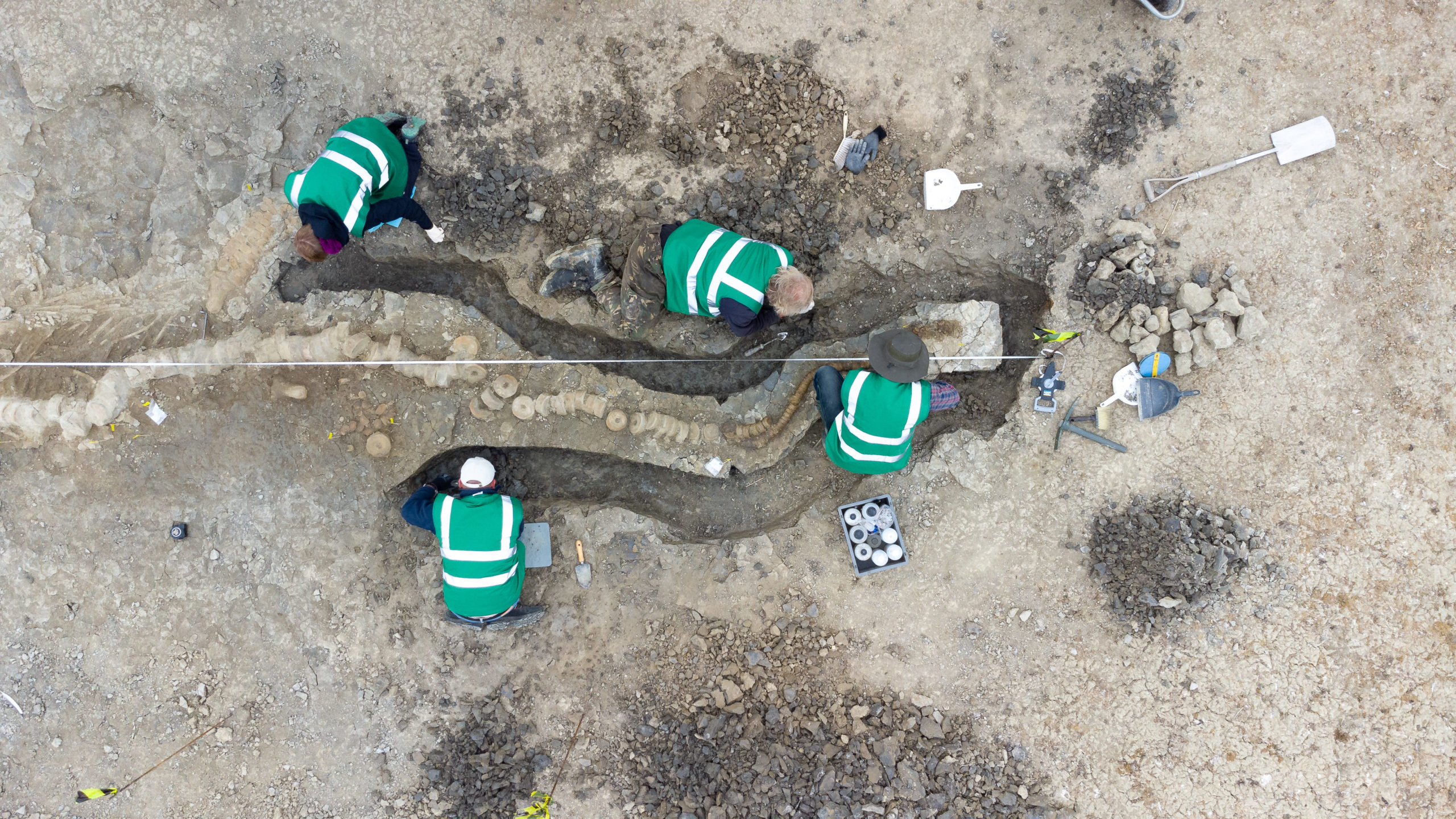 A group of people lying in the sand