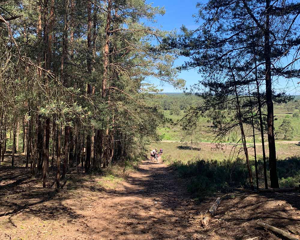Hankley Common cycling