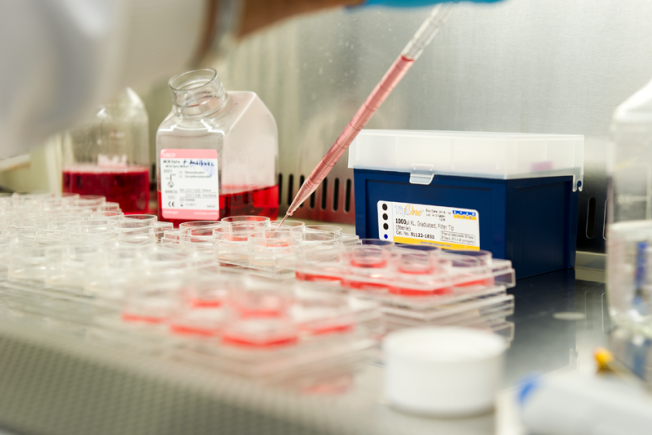 The arm of a researcher pipetting cell culture media into multi-well plates
