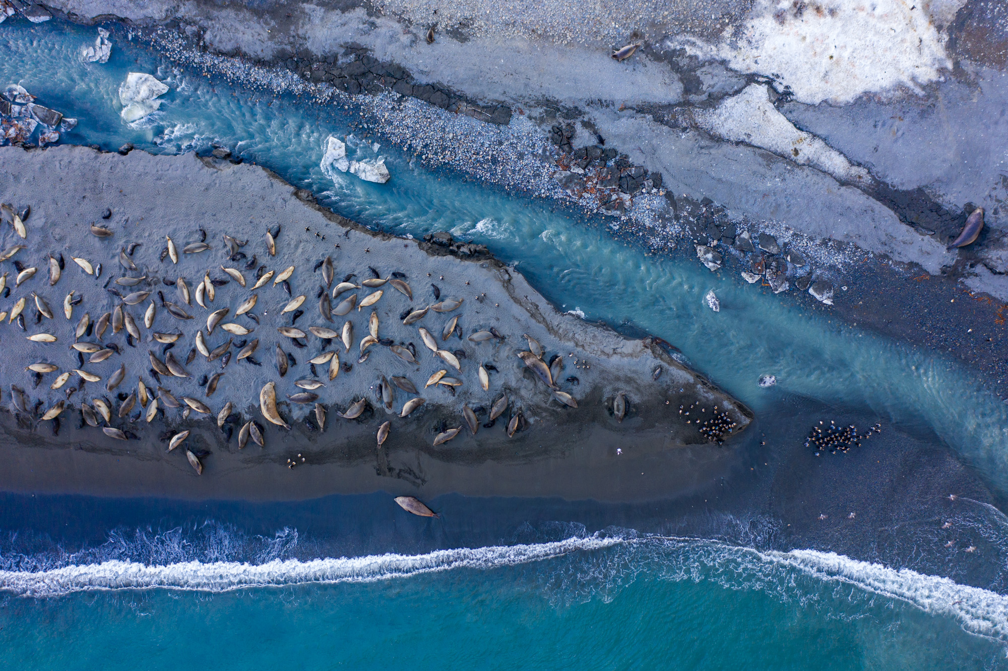 Aerial shot of St Andrews Bay in South Georgia