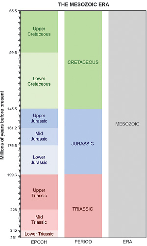 Geological Time Scale - Mesozoic Era