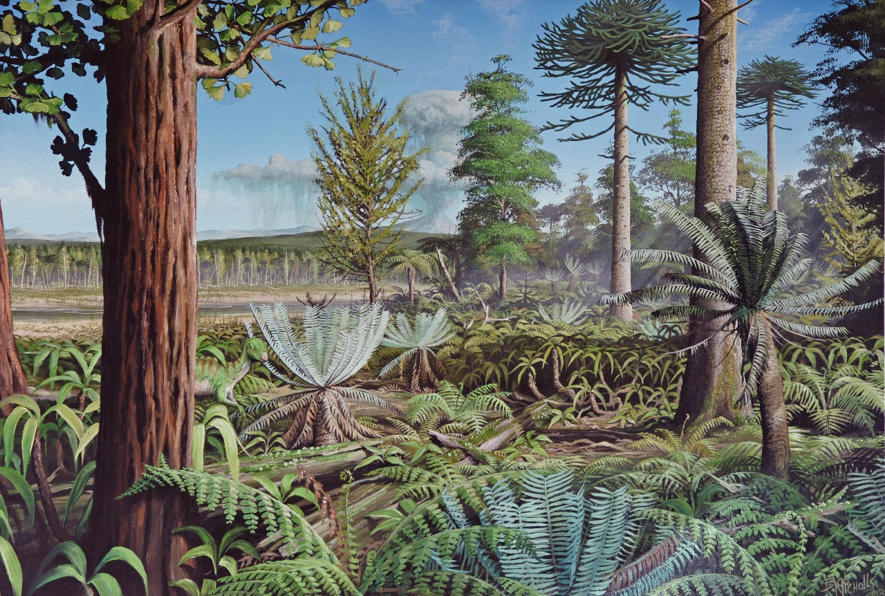 A group of palm trees next to a tree.