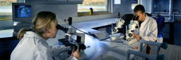 BAS marine scientists Judith Dickson and Simon Morley (Snr Scientist) working in the dry lab at King Edward Point Research Station, South Georgia.