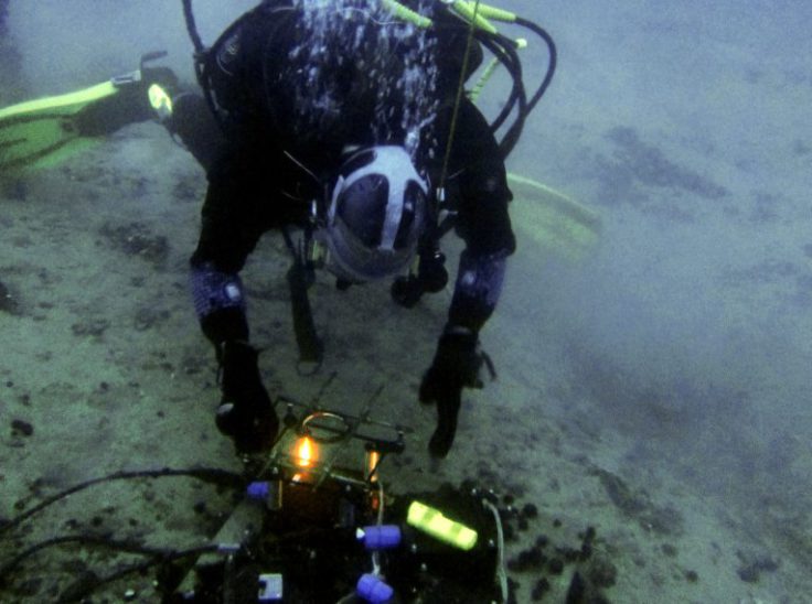 Diver