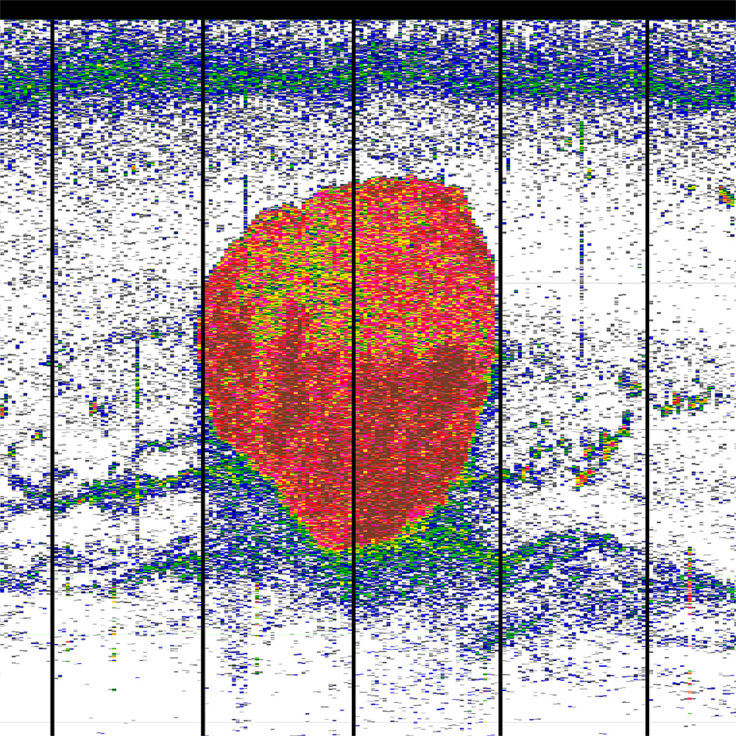 krill ball