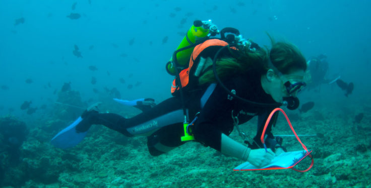 BAS Diver Jude Brown undertakes a Visual census.