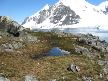 A snow covered mountain.