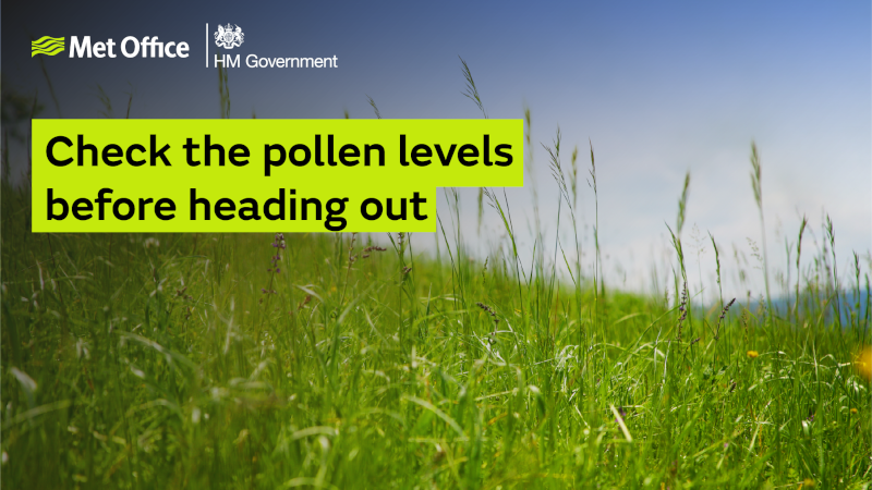 Check the pollen levels before heading out