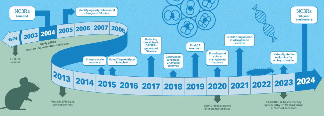 A timeline of advances and events in gene editing technology and the 3Rs from 2004 to 2024.